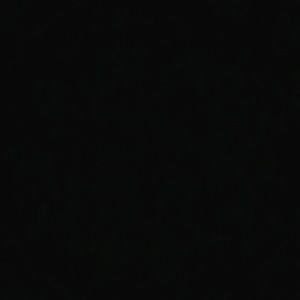 Meet your Posher, Opal